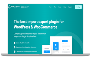 WordPress导入导出插件–WP All Import Pro v4.8.7 破解版